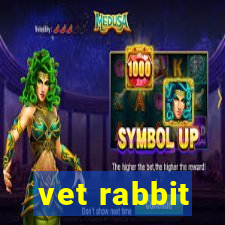 vet rabbit